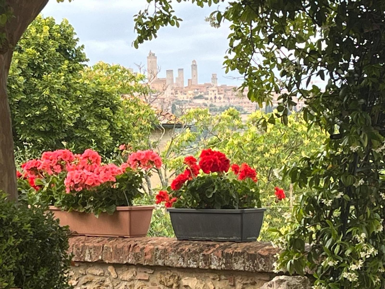 Bed & Breakfast Casale Gregoriano And Apartaments San Gimignano Eksteriør billede
